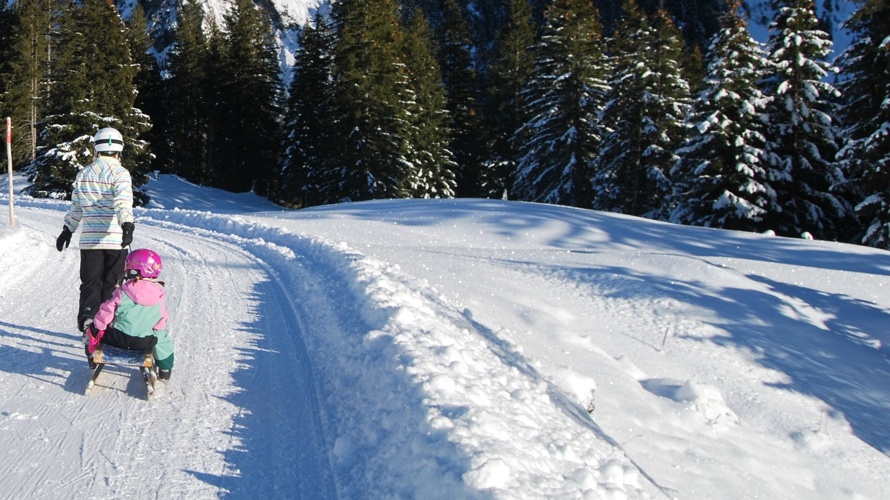 Verein Winter im Rosenlaui