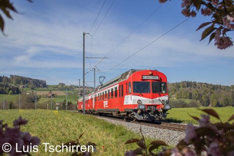 Newsletter und aktuelle Fahrten