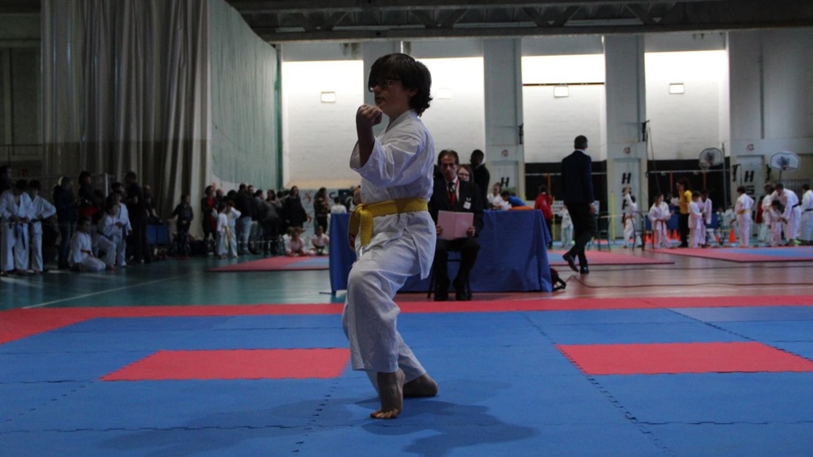 Piccoli talenti della SAM Nanbudo Sankukai Massagno