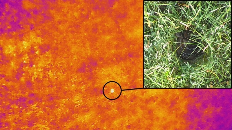 Eine Drohne für die Rehkitz - und Personensuche (Vermisste)