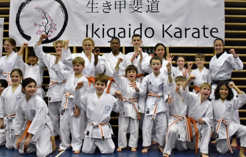 Wir bauen ein Karate Dojo ⛩️