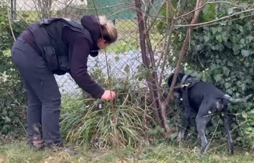 Verein Naturschutzspürhunde Schweiz