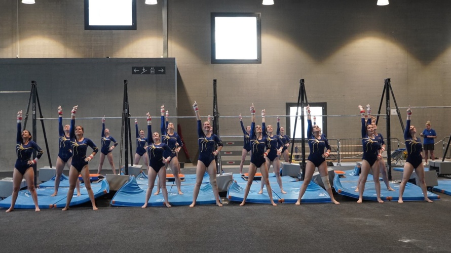 Damenturnverein Wölflinswil