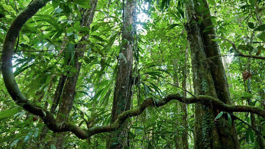 Au coeur des temps 2019