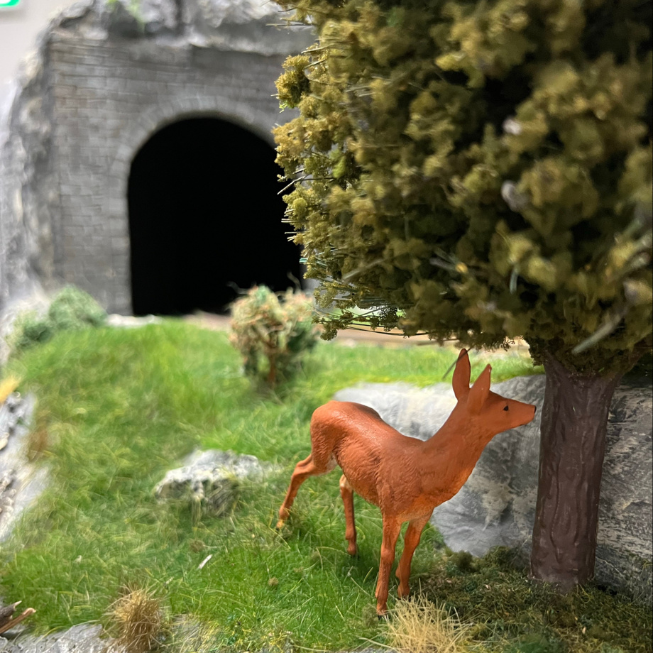 Gutschein für eine Führung auf dem Schotterplatz für 2 Personen