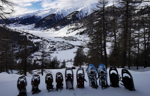 Uniun sportiva Surrein