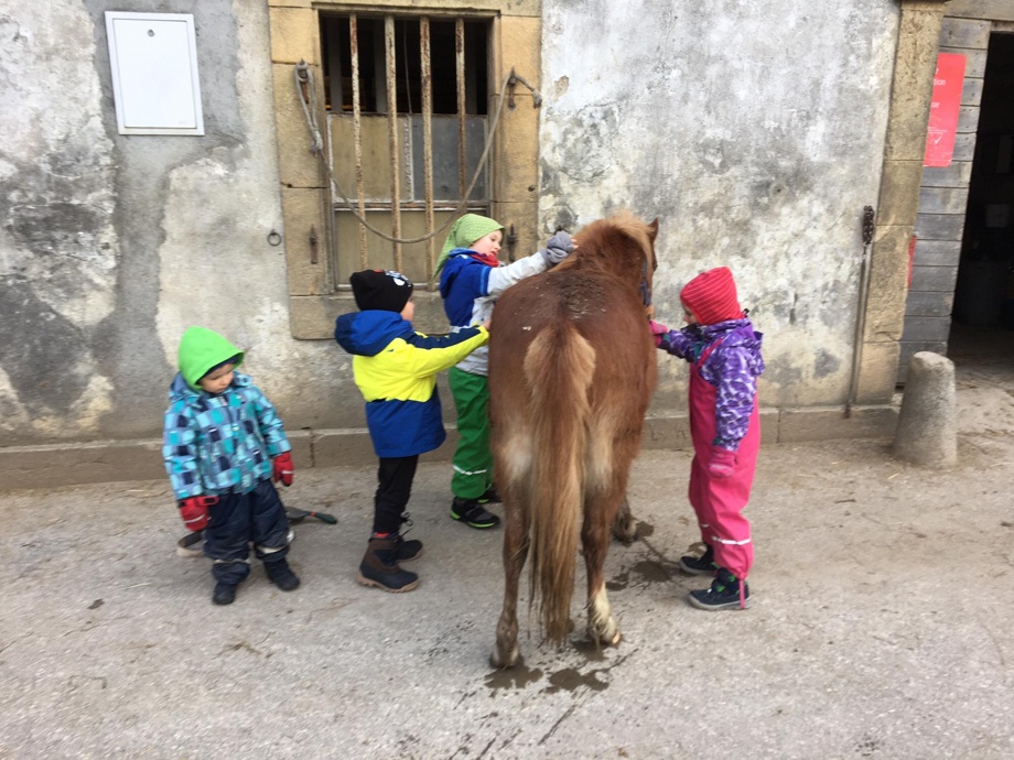 30 Min. Ponyreiten für ein Kind