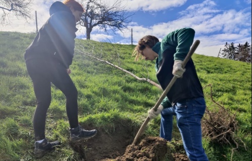 Arbor Mundi - Förderung der Ostschweizer Biodiversität