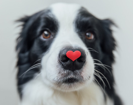 Geschafft! Ihr seid Grossartig!