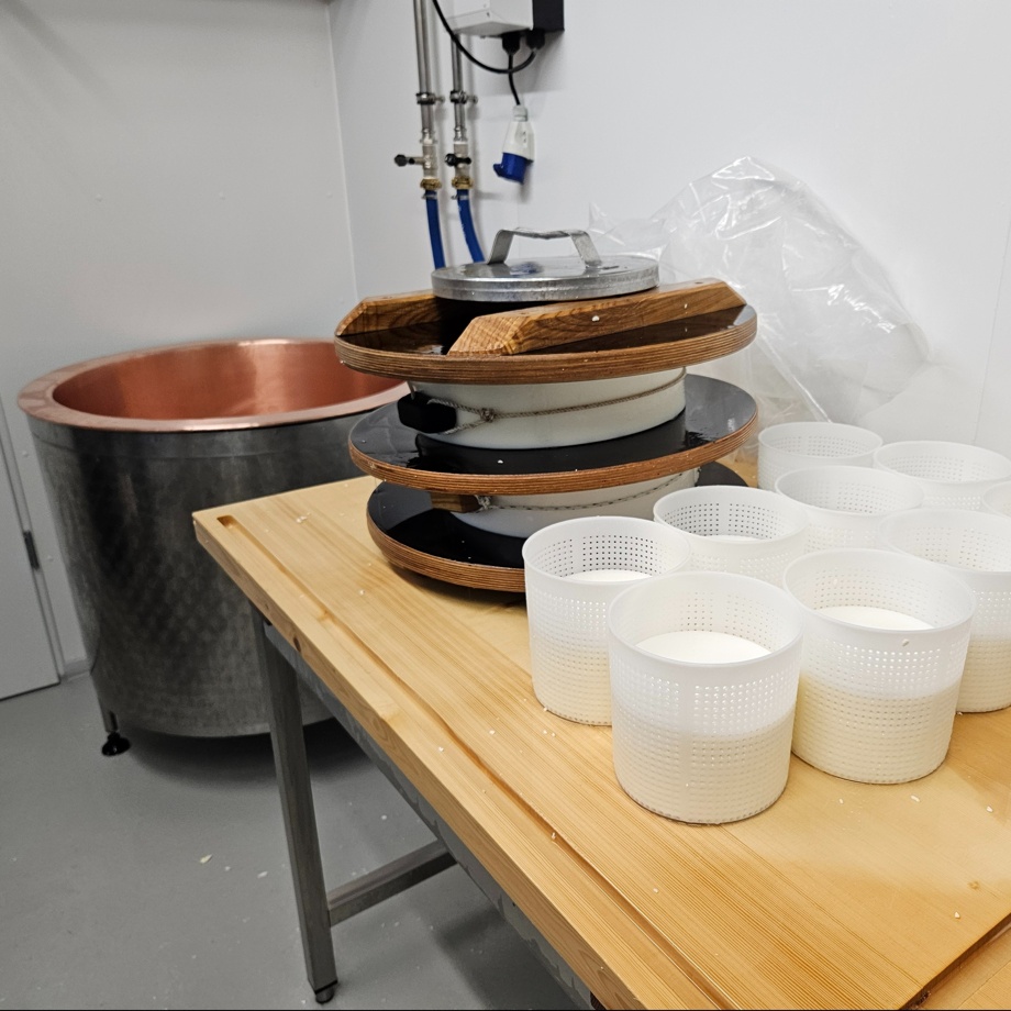 Erlebniskäsen auf dem Hof Cadras in Salouf