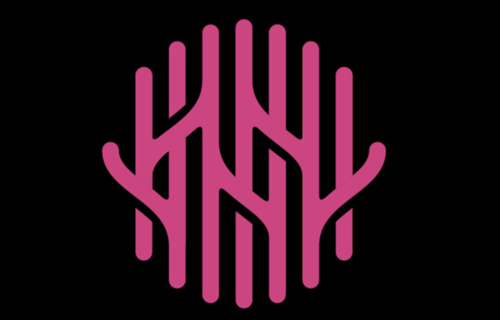 ASRIMM (Association Suisse Romande Intervenant contre les Maladies neuroMusculaires)