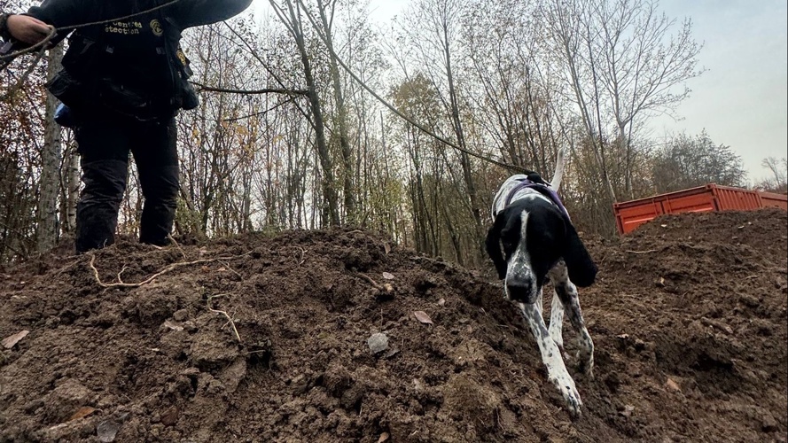 Naturschutzhunde