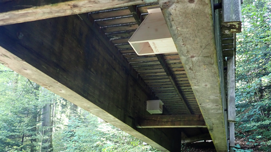 Ornithologische Gesellschaft Herisau und Umgebung (OG Herisau)