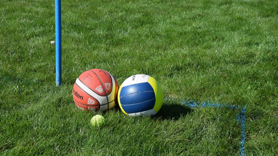 Turnverein Rapperswil