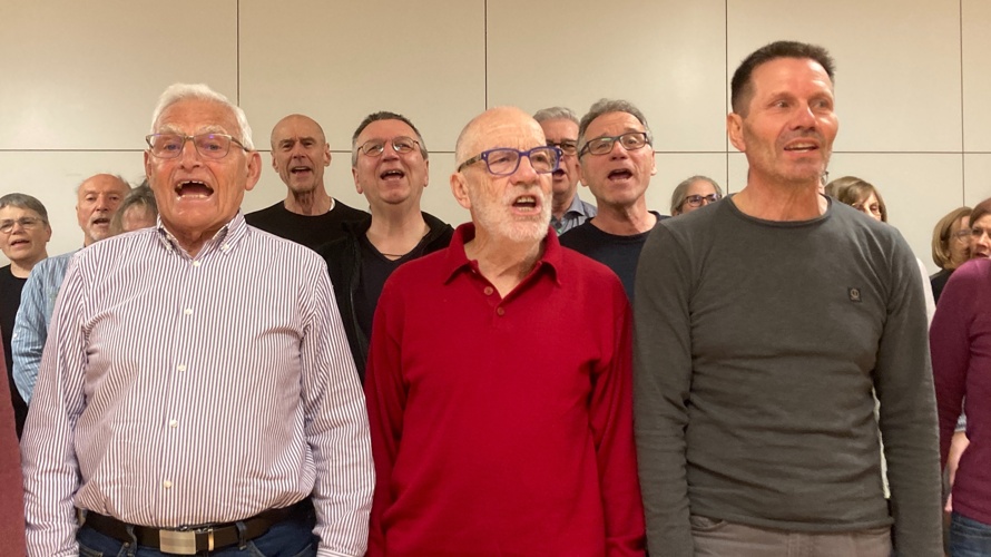 Sommerkonzerte "Summer in the city" mit Sommerfest