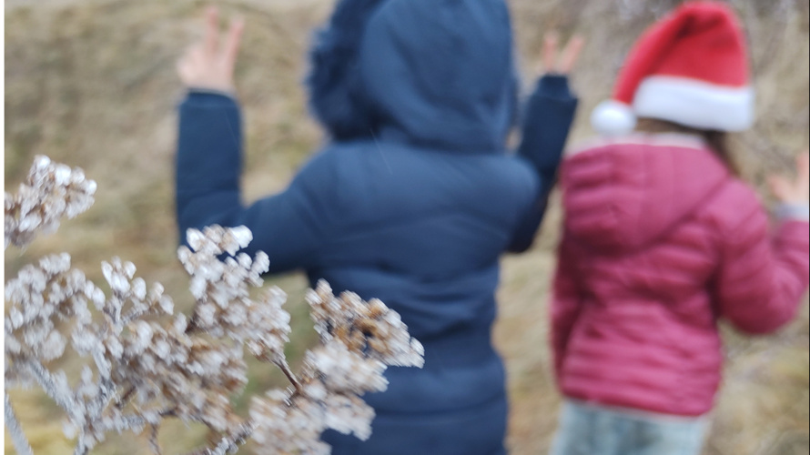 Construction lieu de repli