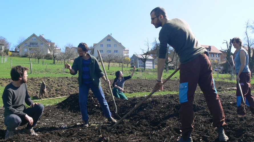 Gemüserei Hof Rotenbirben