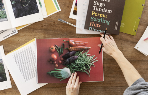 Buch: Flachs Sugo Tandem – Geschichten aus dem Schrebergarten