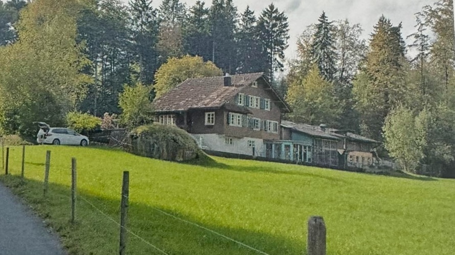 Tierheim in Not