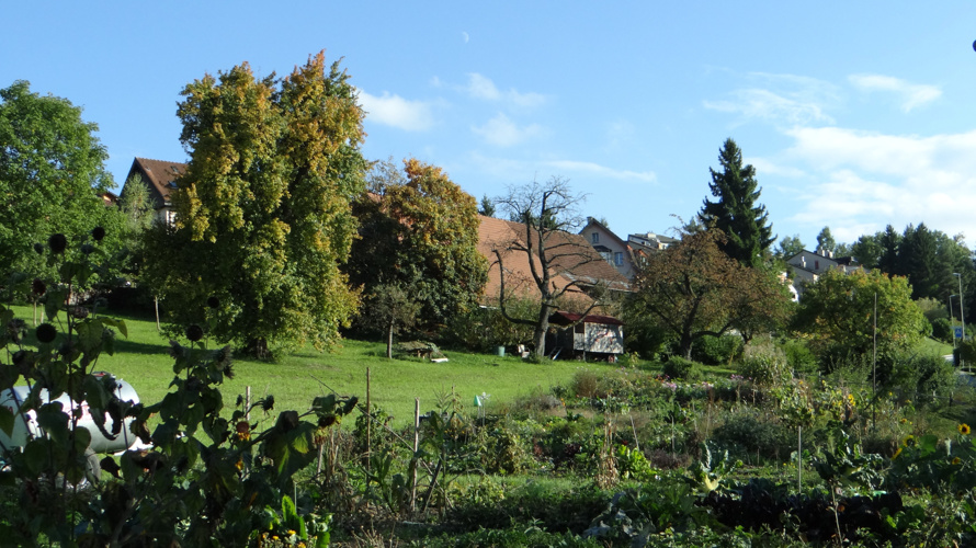 Gemüserei Hof Rotenbirben