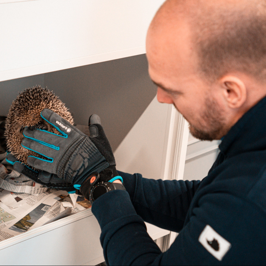 Private Führung durch die Igelstation – mit Kaffee und Herz