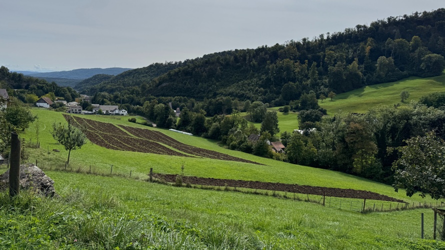 Feuer & Bohne für den Hofanschluss