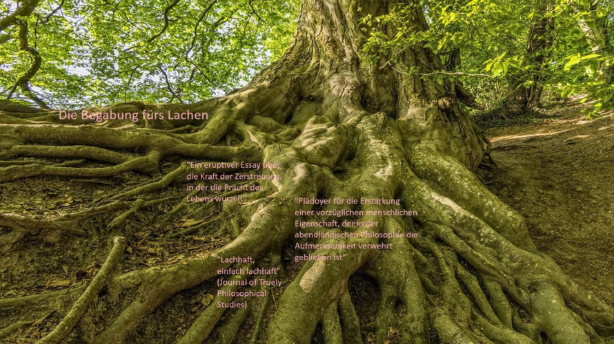 Die Begabung fürs Lachen - Curridiculum (Essay/Sachbuch)