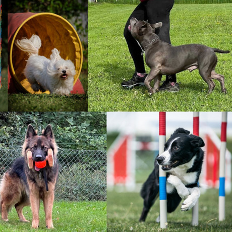 Die Finanzierungsphase läuft – jetzt zählt jede Spende!