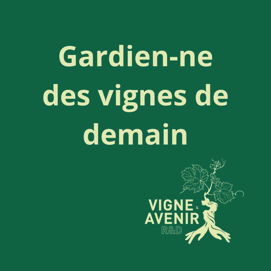 Gardien-ne des vignes de demain