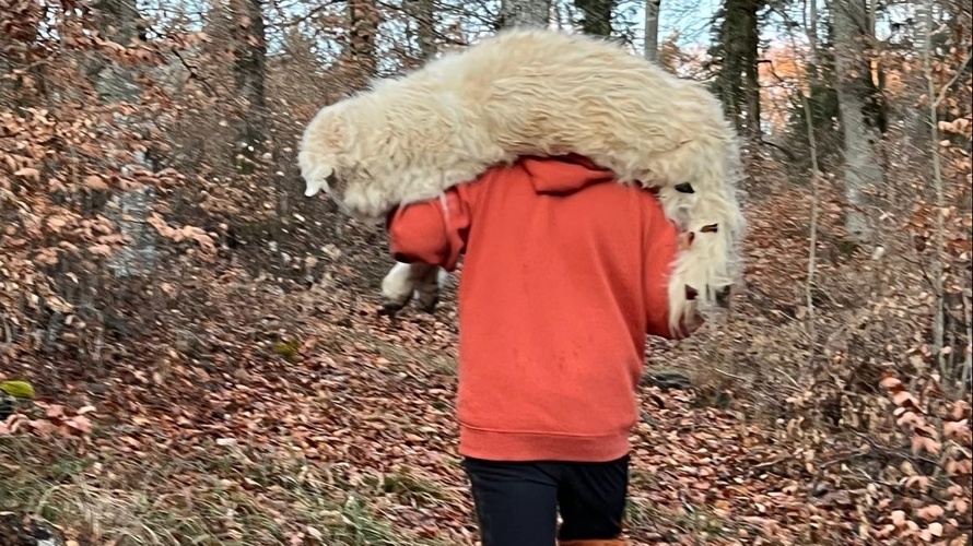 Wärmebild Drohne für Tiersuch Staffel Klettgau