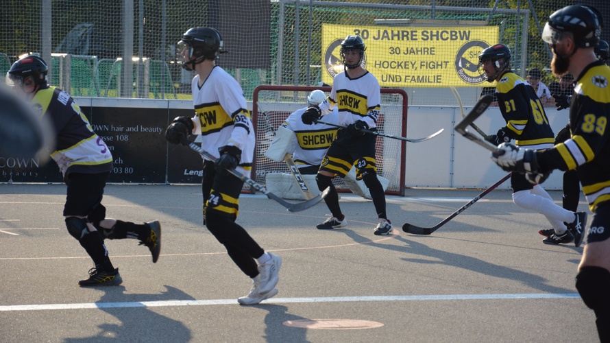 Sanierung Streethockeyplatz Moos