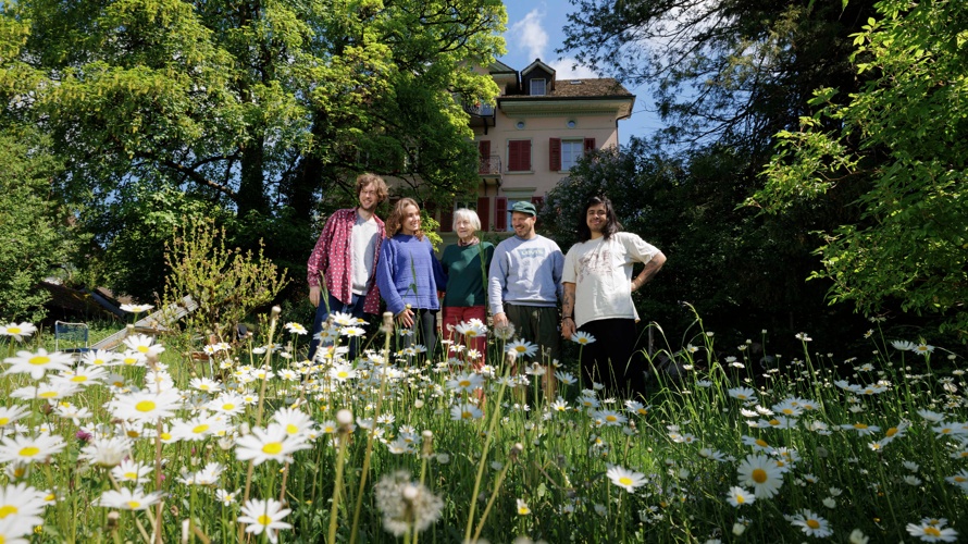 Wildbienenparadies - Blumen für kleine Helden