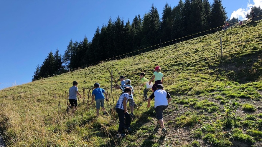 Naturwerkstatt am Pizol