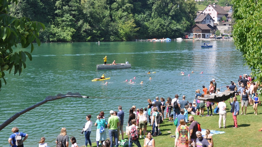 Schwimmen und Wassersicherheit im freien Gewässer