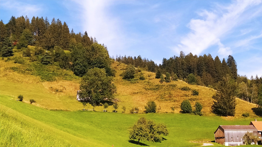 Aufwertung einer Trockenwiese zugunsten der Herbst-Wendelähre