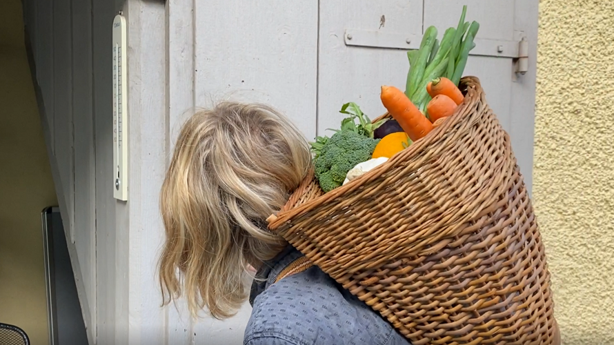 Velokurier - nachhaltig und sozial