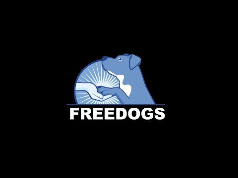 Freedogs présentation