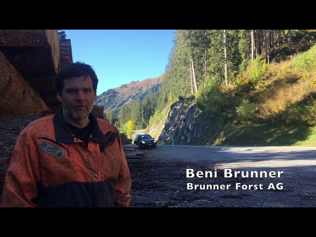 Mondholz für die "Alte Sennerei" – die Ernte