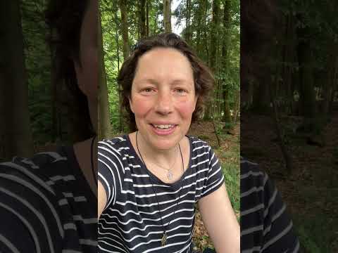 Danke für alle Waldtraum-Spenden!