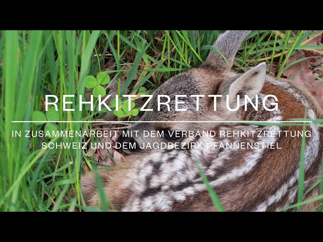 Drohnen Rehkitzrettung