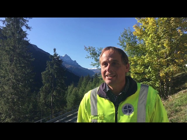 Mondholz für die "Alte Sennerei"