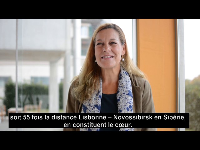 heroslocaux - Action de Noël 2019 Table Suisse