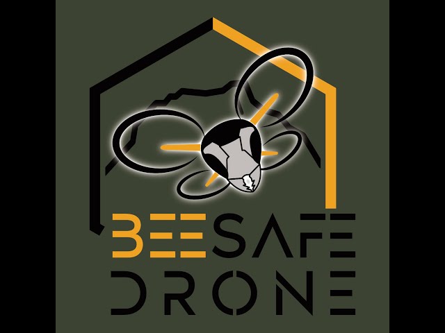 Nestsuche Asiatische Hornisse Oberdiesbach