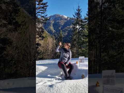 5. Crowdfunding-Video für zupf.helvetica: letzte Woche! #crowdfunding #zupfmusik